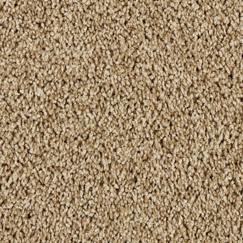 SFI Clever - 4654 Wise